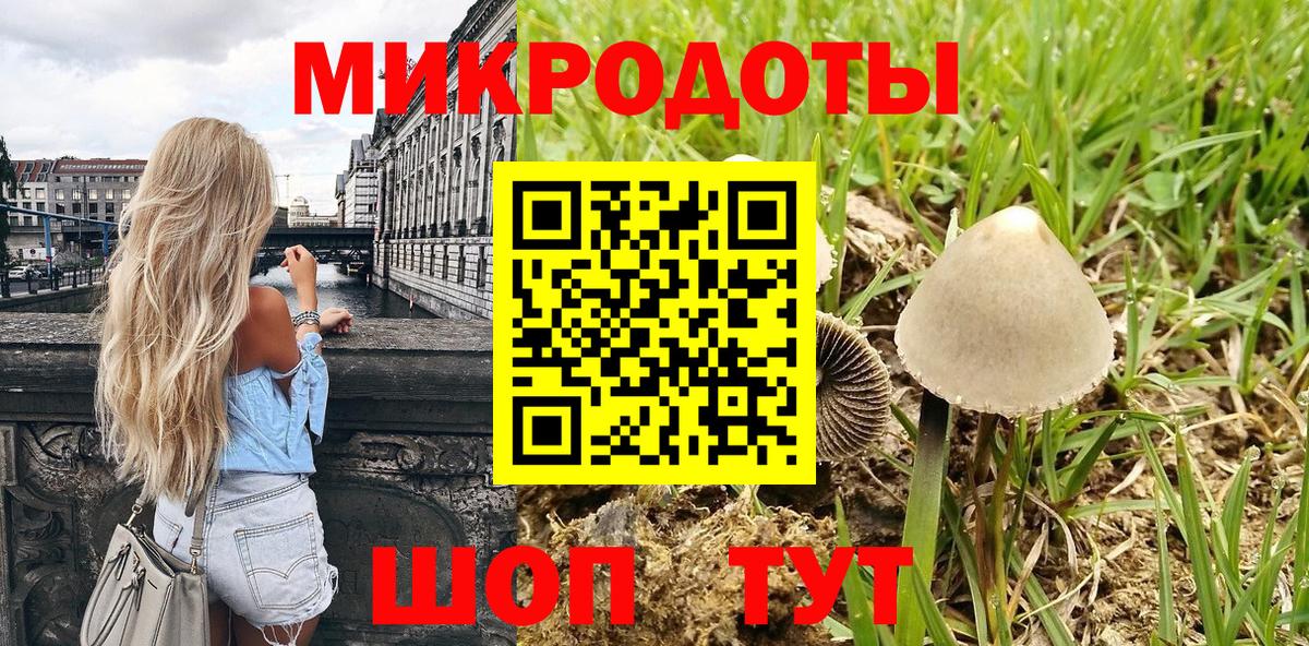 Псилоцибиновые грибы MAGIC MUSHROOMS  Вход с VPN  Богданович 
