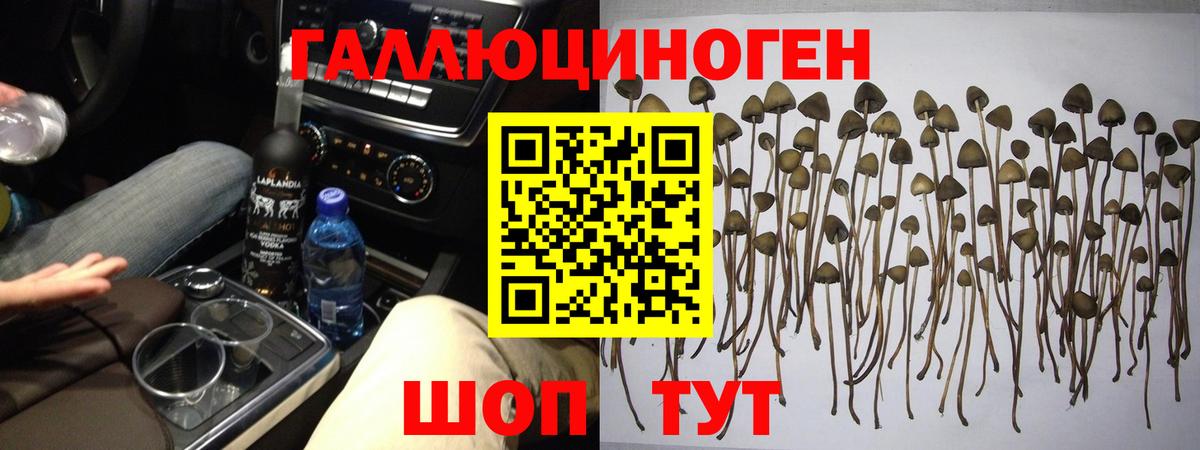 Гашиш Богданович