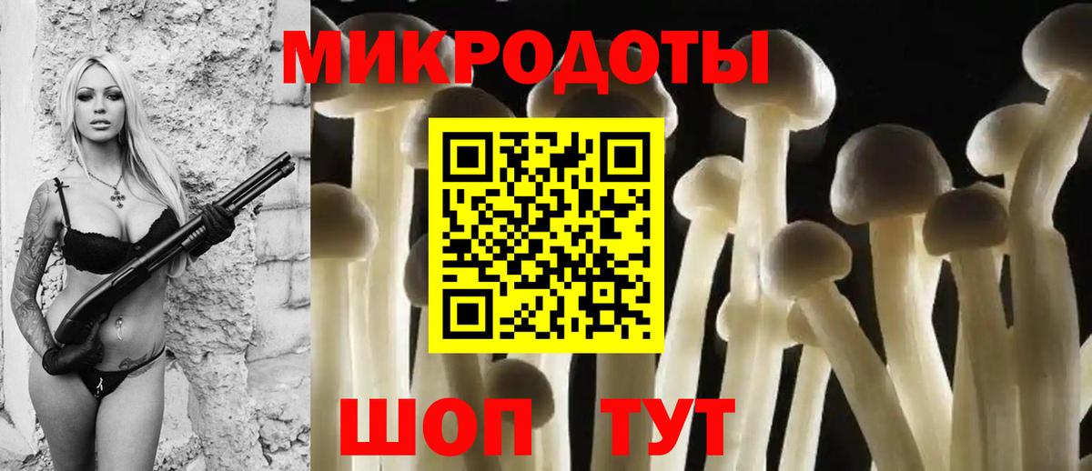 Псилоцибиновые грибы прущие грибы Богданович