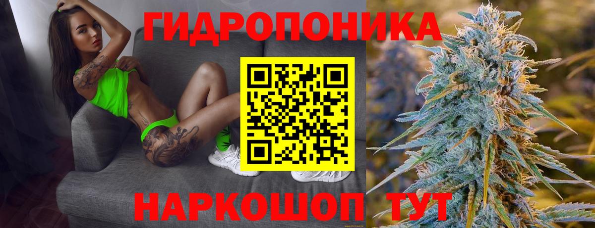 Бошки Шишки ГИДРОПОН Богданович